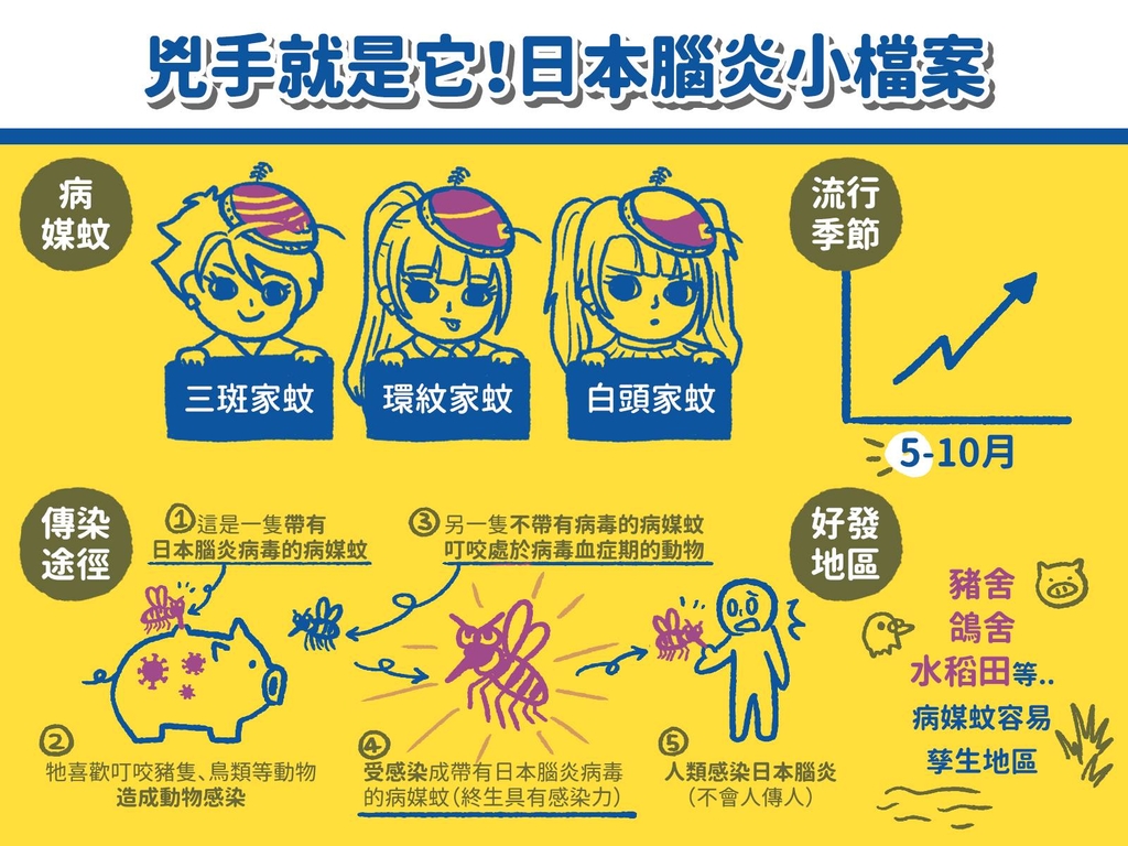 日本腦炎小檔案世界結核病日(圖:衛福部疾管署)